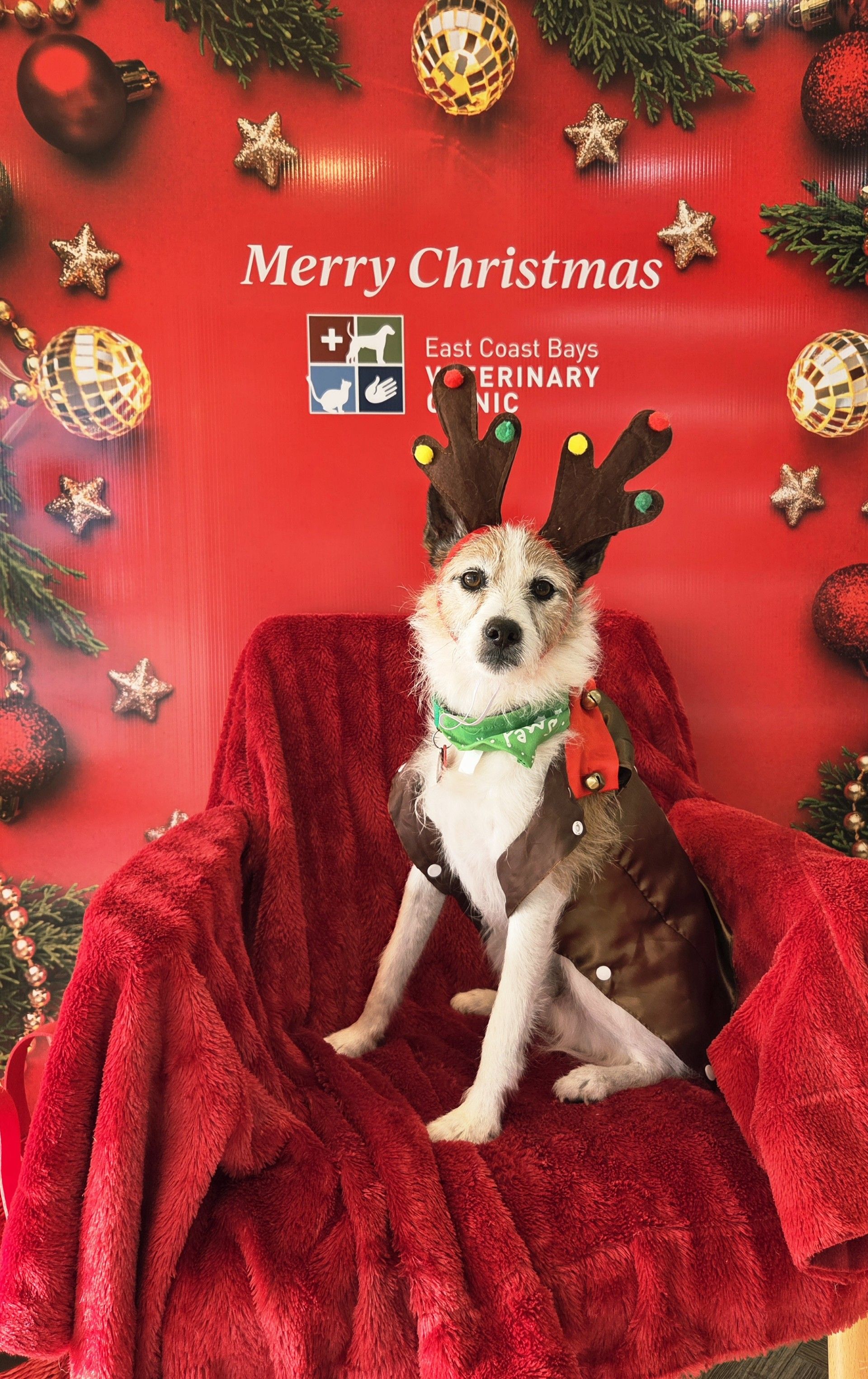 Christmas Newsletter